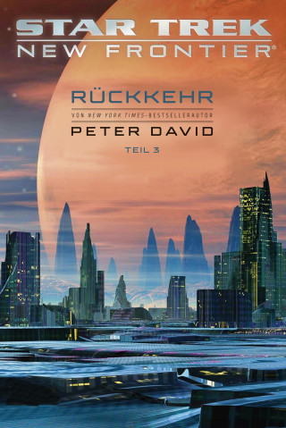 Peter David: Star Trek – New Frontier: Rückkehr 3