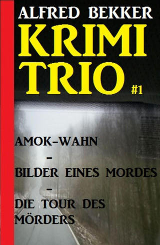 Alfred Bekker: Alfred Bekker Krimi Trio #1