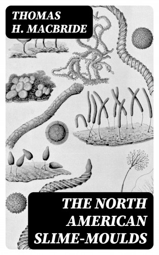 Thomas H. Macbride: The North American Slime-Moulds