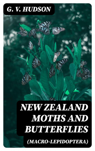 G. V. Hudson: New Zealand Moths and Butterflies (Macro-Lepidoptera)