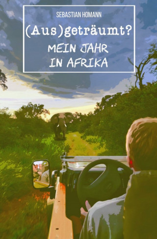 Sebastian Homann: (Aus)geträumt? Mein Jahr in Afrika (eBook)
