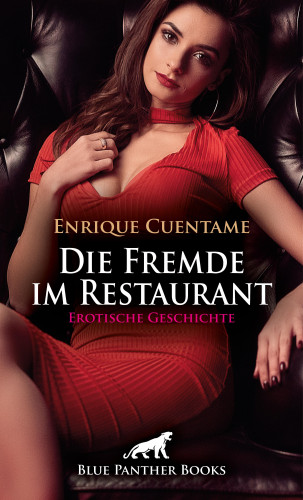 Enrique Cuentame: Die Fremde im Restaurant | Erotische Geschichte