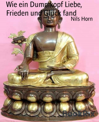 Nils Horn: Wie ein Dummkopf Liebe, Frieden und Glück fand