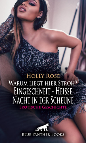Holly Rose: Warum liegt hier Stroh? Eingeschneit - Heiße Nacht in der Scheune | Erotische Geschichte