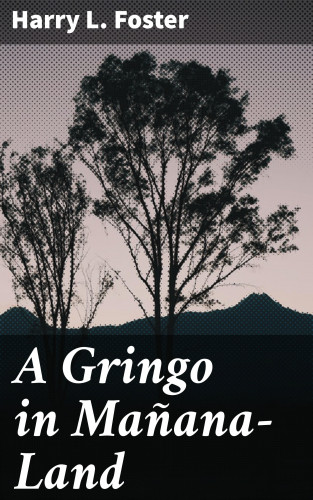 Harry L. Foster: A Gringo in Mañana-Land