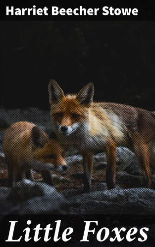 Harriet Beecher Stowe: Little Foxes