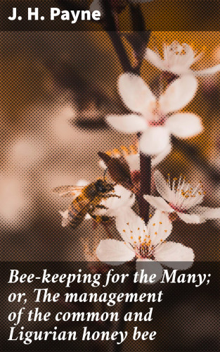J. H. Payne: Bee-keeping for the Many; or, The management of the common and Ligurian honey bee