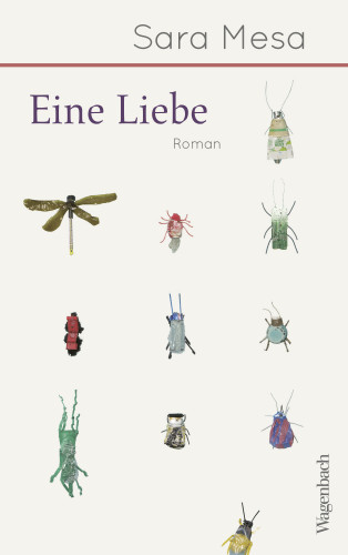 Sara Mesa: Eine Liebe