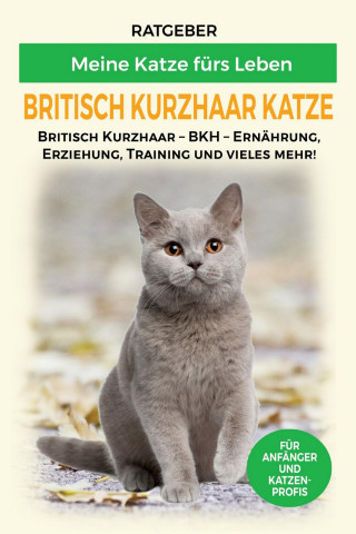Meine Katze fürs Leben Ratgeber: Britisch Kurzhaar Katze