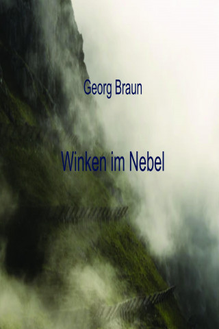 Georg Braun: Winken im Nebel