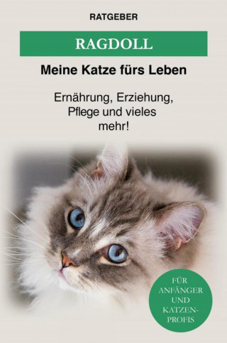 Meine Katze fürs Leben Ratgeber: Ragdoll