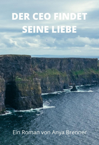 Anya Brenner: Der CEO findet seine Liebe