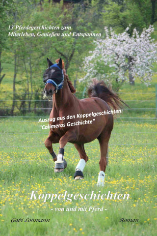 Gabi Lohmann: Koppelgeschichten - von und mit Pferd; Calimeros Geschichte