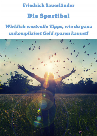 Friedrich Sauerländer: Die Sparfibel