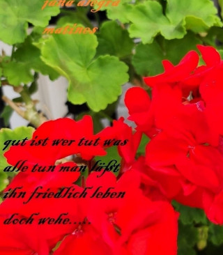 jana alegra martines: GUT IST wer tut was alle tun..........