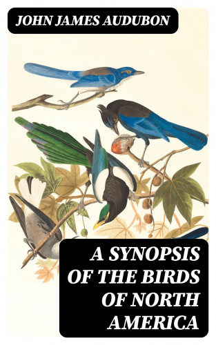 John James Audubon: A Synopsis of the Birds of North America