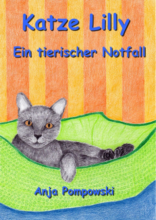 Anja Pompowski: Katze Lilly – Ein tierischer Notfall