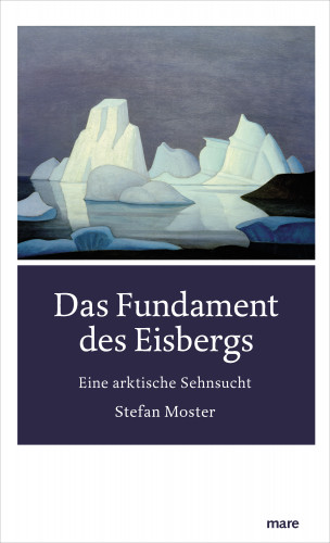 Stefan Moster: Das Fundament des Eisbergs