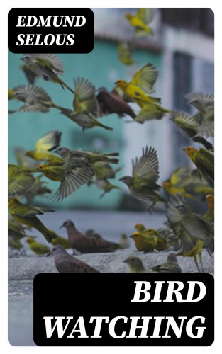 Edmund Selous: Bird Watching