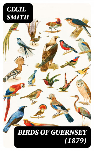 Cecil Smith: Birds of Guernsey (1879)