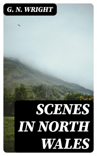 G. N. Wright: Scenes in North Wales