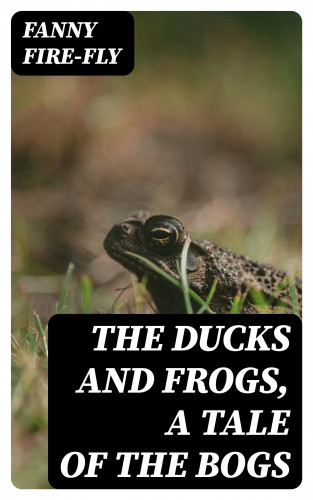 Fanny Fire-Fly: The Ducks and Frogs, a Tale of the Bogs