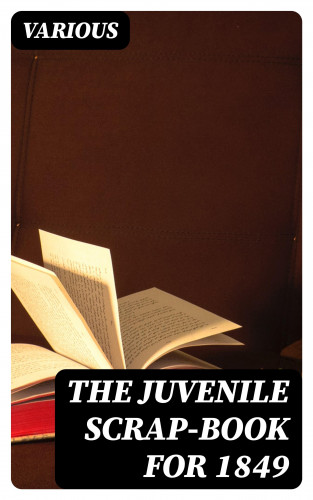 Diverse: The Juvenile Scrap-book for 1849