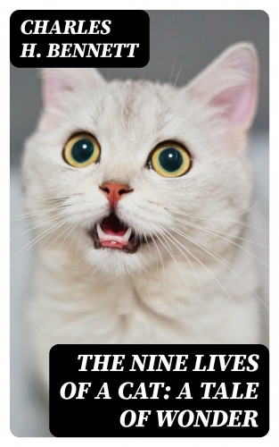 Charles H. Bennett: The Nine Lives of A Cat: A Tale of Wonder