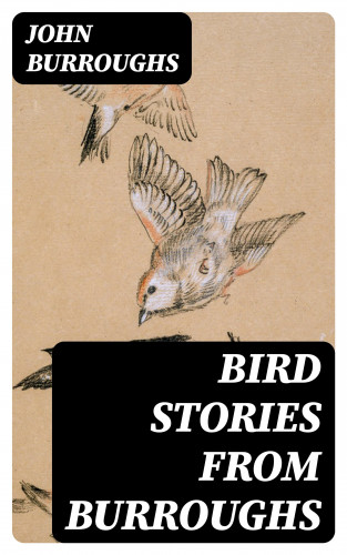 John Burroughs: Bird Stories from Burroughs