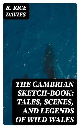R. Rice Davies: The Cambrian Sketch-Book: Tales, Scenes, and Legends of Wild Wales