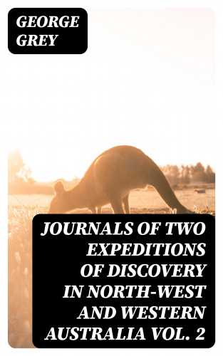 George Grey: Journals of Two Expeditions of Discovery in North-West and Western Australia Vol. 2