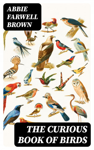 Abbie Farwell Brown: The Curious Book of Birds