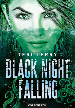 Teri Terry: Black Night Falling (Bd. 3)