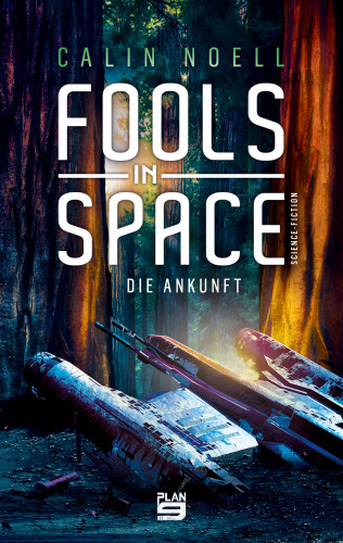 Calin Noell: Fools in Space