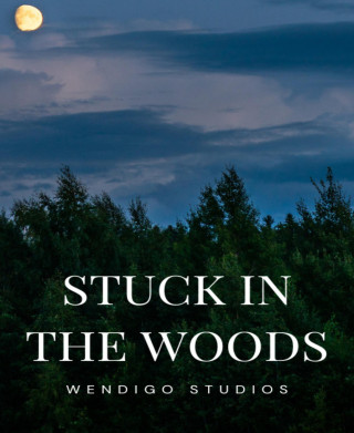 Wendigo Studios: Stuck In The Woods