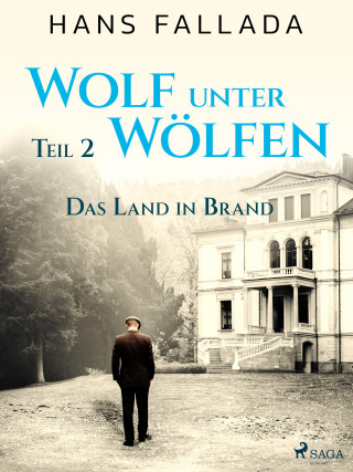 Hans Fallada: Wolf unter Wölfen, Teil 2 – Das Land in Brand
