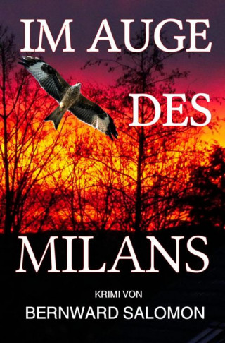 Bernward Salomon: Im Auge des Milans