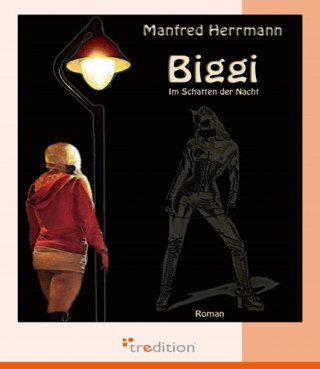 Manfred Herrmann: Biggi - Im Schatten der Nacht