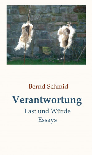 Bernd Schmid: Verantwortung