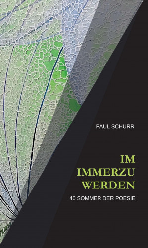 Paul Schurr: IM IMMERZU WERDEN