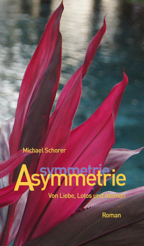 Michael Schorer: Asymmetrie