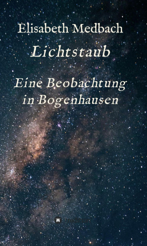 Elisabeth Medbach: Lichtstaub