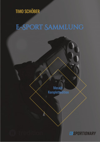 Timo Schöber: E-Sport Sammlung