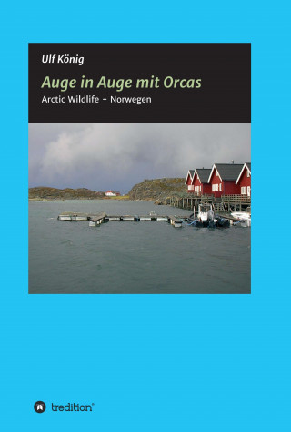 Ulf König: Auge in Auge mit Orcas
