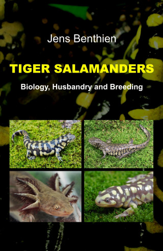 Jens Benthien: Tiger Salamanders