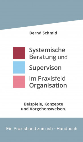 Bernd Schmid: Systemische Beratung und Supervision im Praxisfeld Organisation