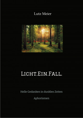 Lutz Meier: Licht.Ein.Fall.