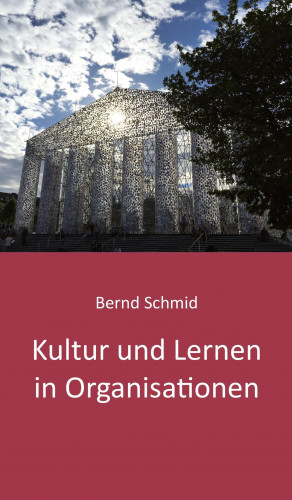 Bernd Schmid: Kultur und Lernen in Organisationen