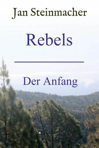 Jan Steinmacher: Rebels