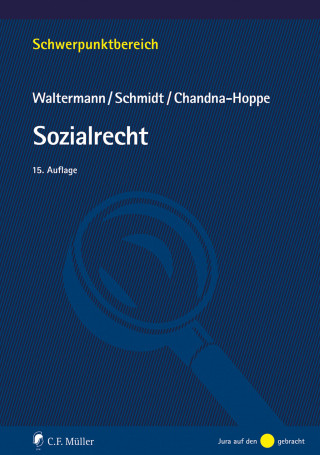 Raimund Waltermann: Sozialrecht